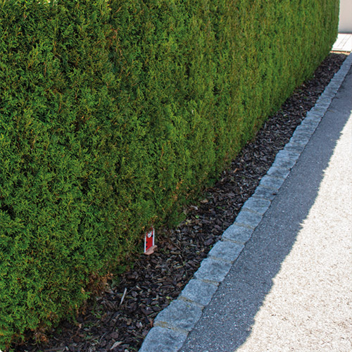 Pflege von Baum und Hecke